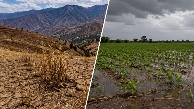 Comex Perú: El doble riesgo climático que amenaza la agroexportación y la sierra sur