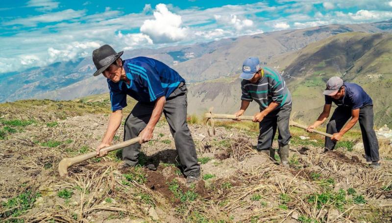 ComexPerú: Nuevo régimen de promoción agraria: ¿qué traería consigo?