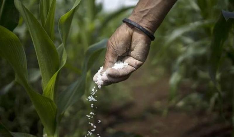 Comisión Agraria estima pérdida de US$ 8 millones en compra de fertilizantes por Agro Rural