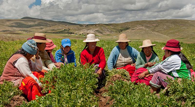 Cómo recuperar y transformar los Sistemas Agroalimentarios de América Latina y el Caribe post Covid-19