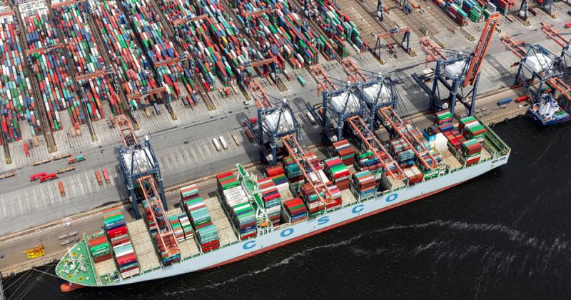 ¿Cómo se convirtió Holanda en el corazón de las agroexportaciones de Europa?