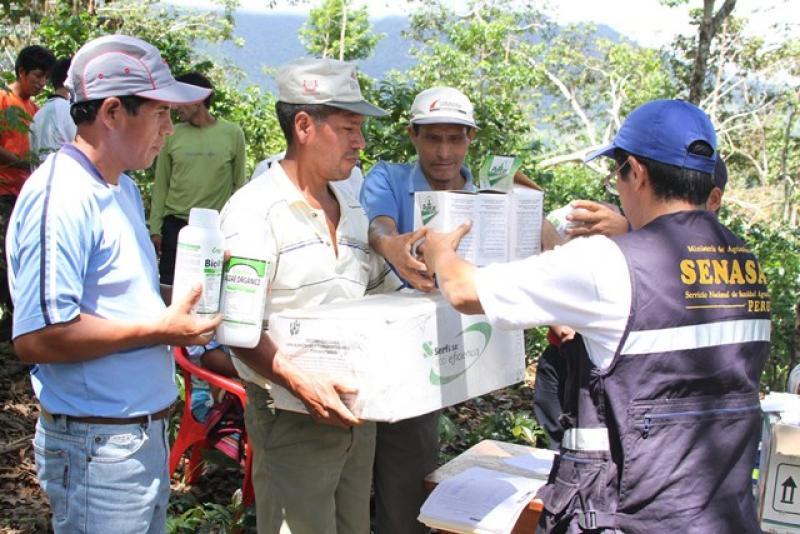 COMUNIDADES NATIVAS DEL VRAEM RECIBEN INSUMOS PARA COMBATIR ROYA AMARILLA DEL CAFÉ