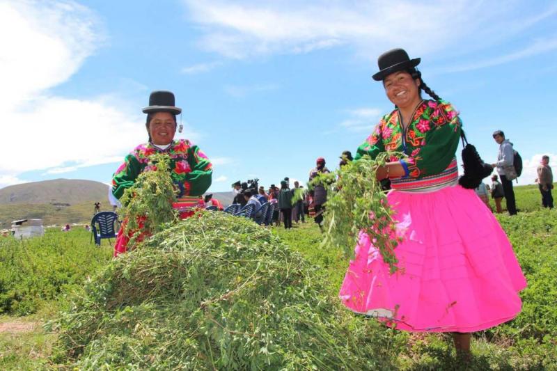 Comunidades podrían usar regalías mineras en agricultura y ganadería