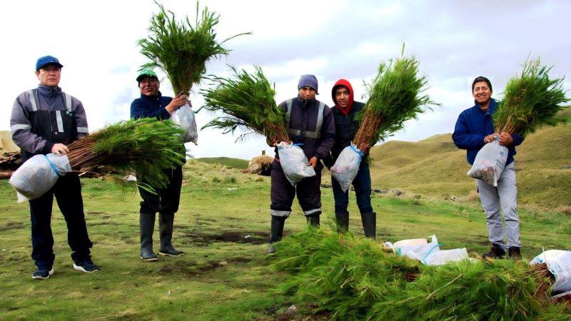 Comunidades postulan planes de negocio forestal a programa Bosques Productivos