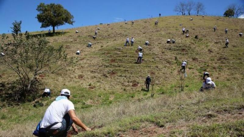 Con viejas recetas naturales, un español reforesta la Amazonía peruana