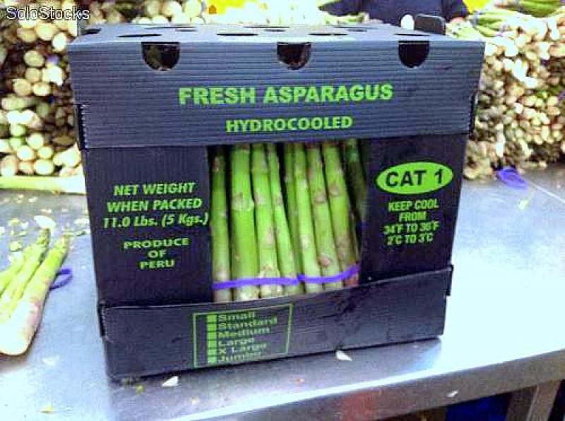 Conchas de abanico y espárragos entre los productos peruanos más exportados a Francia