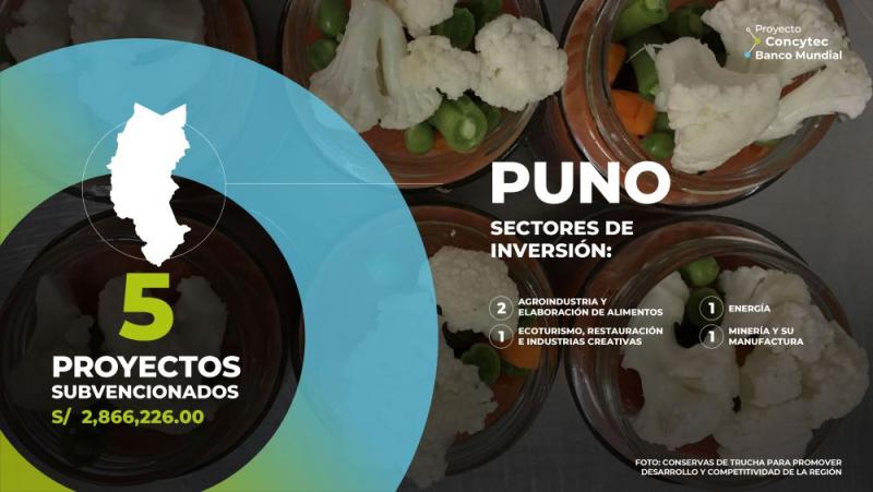 Concytec financia cinco proyectos para impulsar el desarrollo de Puno