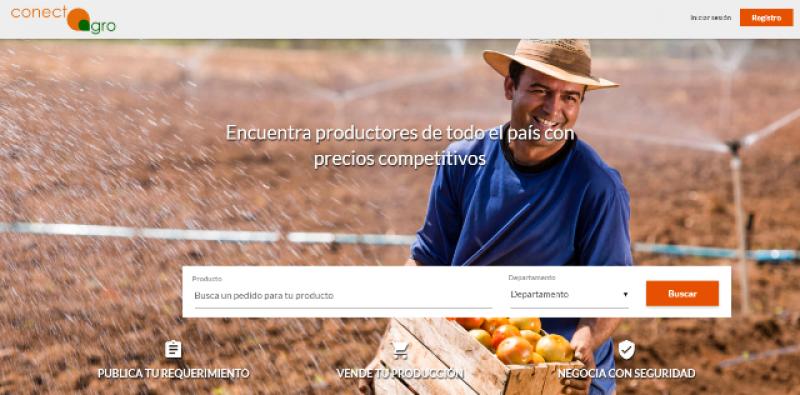 CONECTAGRO.PE VINCULARÁ A AGRICULTORES CON COMPRADORES A TRAVÉS DE SUBASTAS INVERSAS