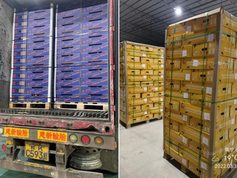 Confinamientos en China obligan a los exportadores de fruta a desviarse al sudeste asiático