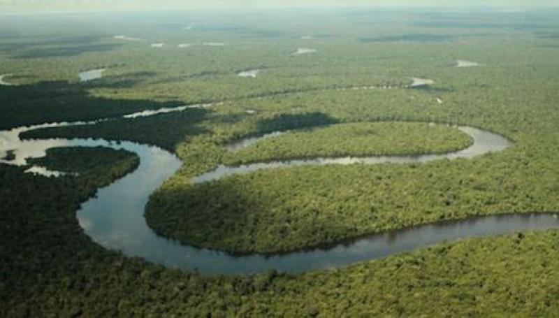 Congreso empresarial propondrá nueva visión para la Amazonía peruana al 2050