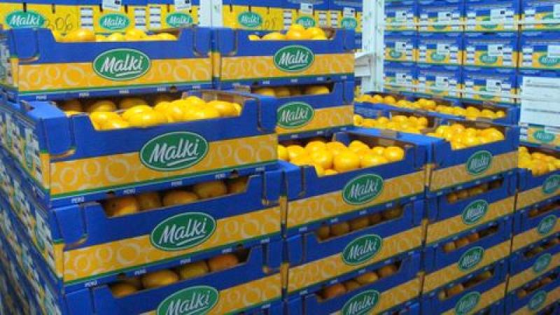 Consorcio de Productores de Fruta proyecta crecer 15% en facturación  este año