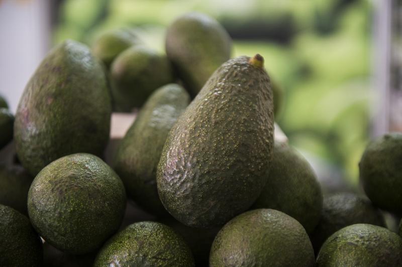 Consorcio europeo interesado en productos agrícolas de Áncash