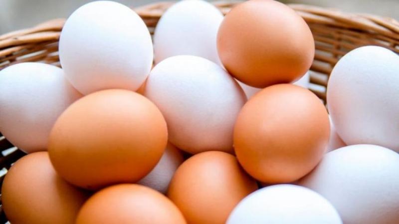Consumo de huevo en Perú se reducirá en casi 40% este año por altos precios de insumos