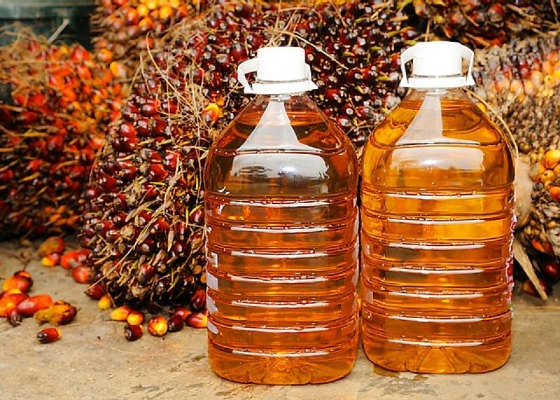 Consumo mundial de aceite de palma alcanzó los 88.9 millones de toneladas en 2022
