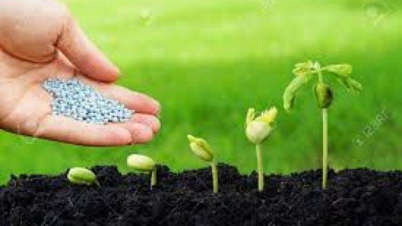 Consumo mundial de fertilizantes crecerá 4 % en 2023, hasta llegar a las 192.5 millones de toneladas