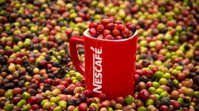 Consumo per cápita de café en Perú cerrará el año en 70 tazas, registrando un aumento de 3%