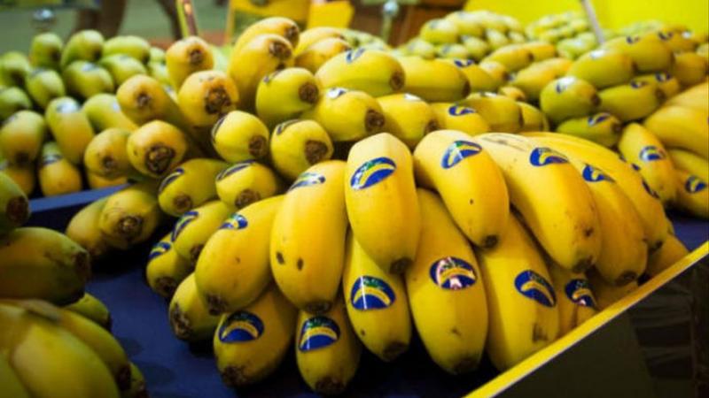 Consumo per cápita de frutas y hortalizas en los hogares españoles crece un 11% hasta septiembre de 2020