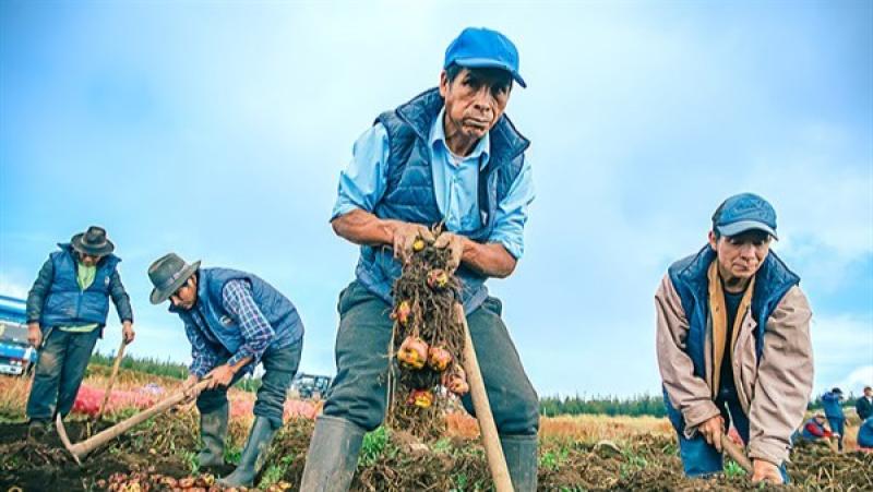 Continúa recuperación del empleo formal en el Perú