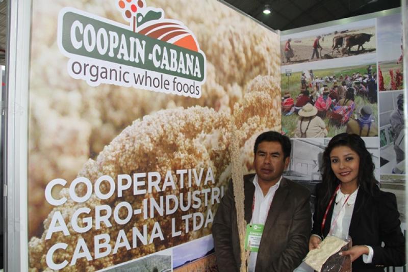 COOPERATIVA COOPAIN CABANA PROYECTA VENDER QUINUA POR UN VALOR DE US$ 12 MILLONES ESTE AÑO