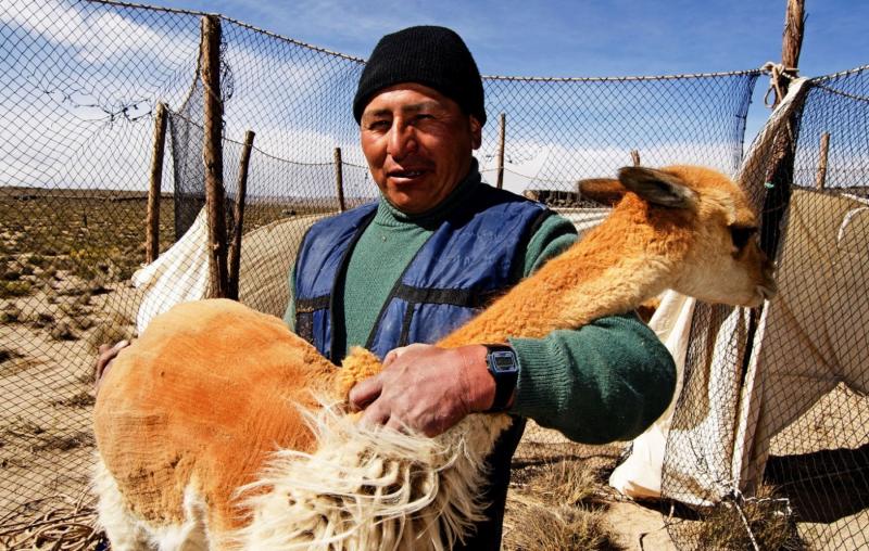 CREAN CITETEXTIL CAMÉLIDOS EN AREQUIPA