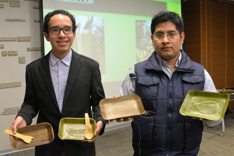 Crean platos biodegradables a base de hojas de plátano