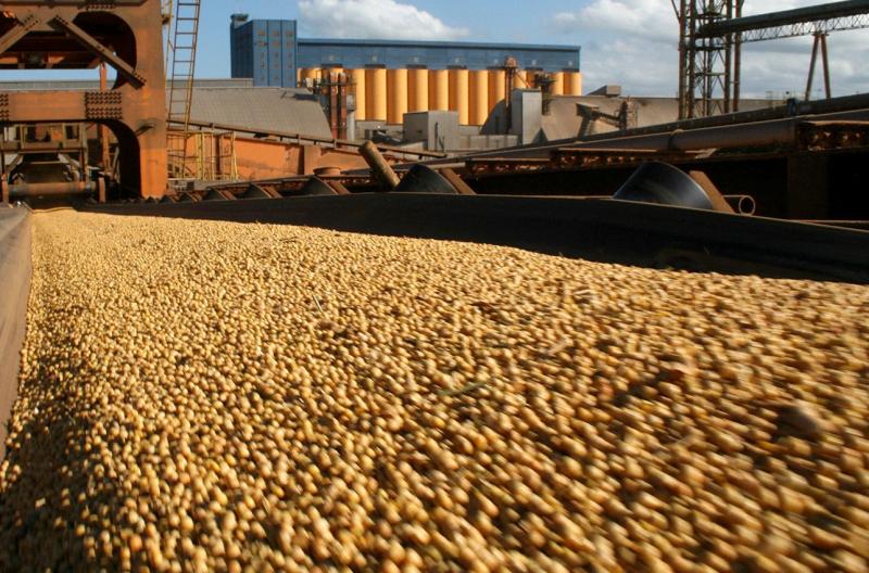 Crece en 16% la importación de soya en grano