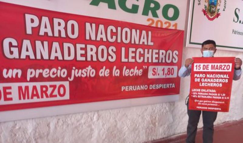Crisis en el sector lechero generaría la pérdida de 120 mil puestos de trabajo en la costa peruana