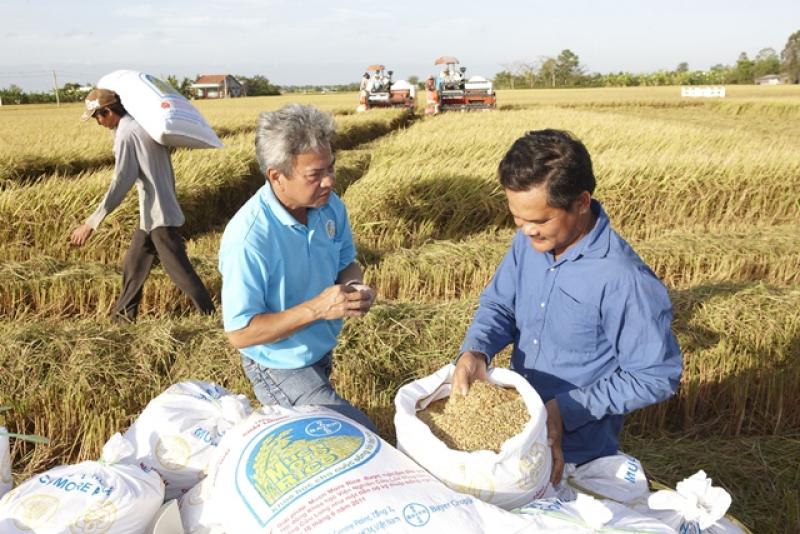 Crop Science de Bayer proyecta inversiones en investigación y desarrollo por casi € 1.000 millones este año