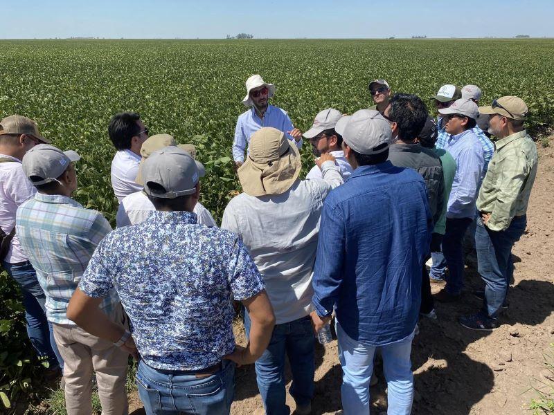 ¿Cuáles son las competencias más valoradas en un profesional de agronegocios?