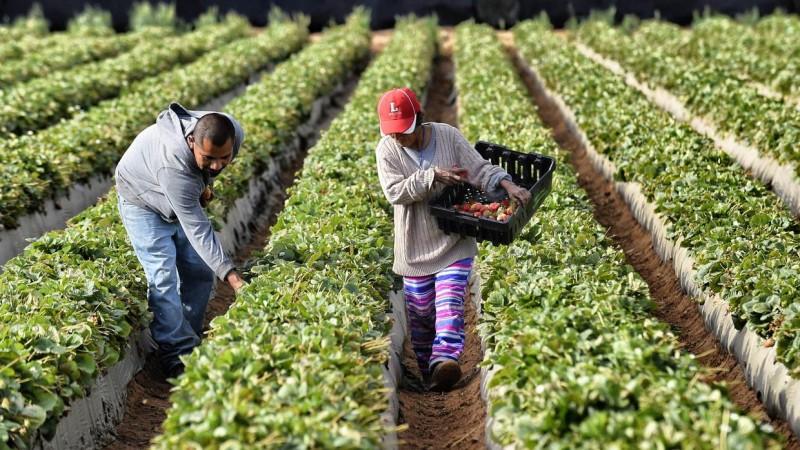 Cuando el agro crece, crece el Perú