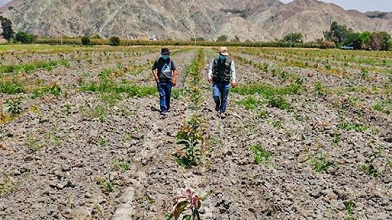 Cultivida: Escasez de lluvias en el sur y ola de calor en el norte exigen reforzar la prevención