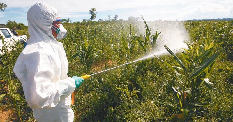 CultiVida realizará conversatorio sobre buen uso de plaguicidas agrícolas para obtener alimentos inocuos