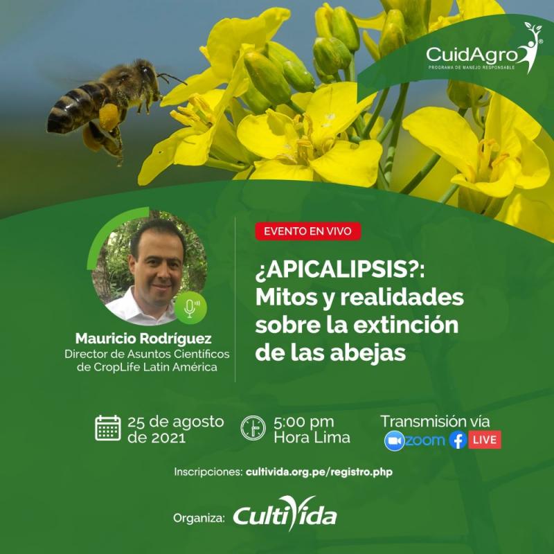 Cultivida realizará webinar “Apicalipsis: Mitos y realidades sobre la extinción de las abejas”