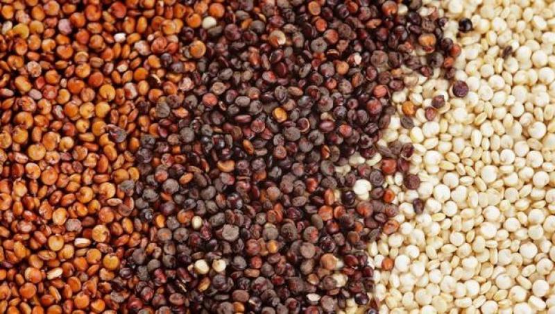 Cultivo de granos andinos genera alrededor de 5.4 millones de jornales en campo