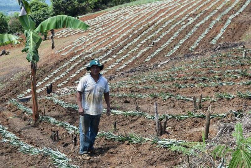 CUSCO: INIA APOYARÁ AL DESARROLLO AGRARIO DE PRODUCTORES DE KIMBIRI
