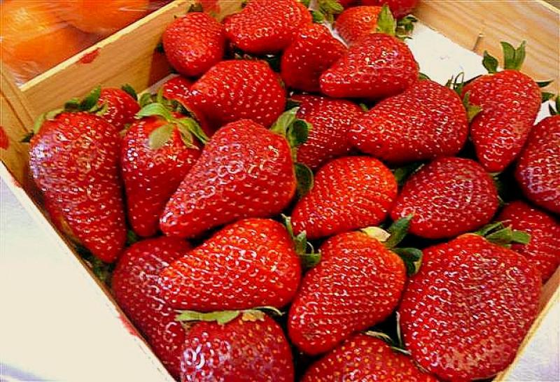 Decae la exportación peruana de fresas