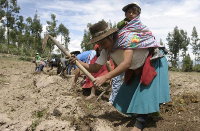 Decenio para la Agricultura Familiar: una iniciativa para disminuir la pobreza y la desigualdad