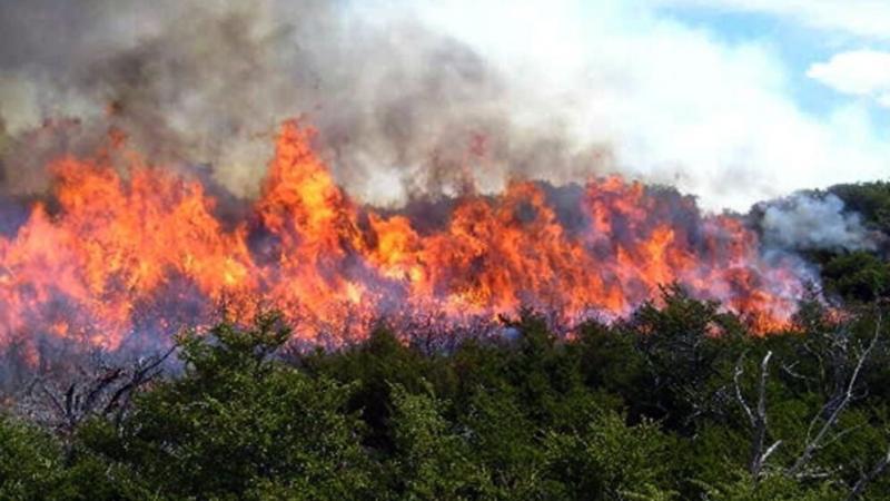 Del fuego al contrato: una alianza para reconstruir el campo