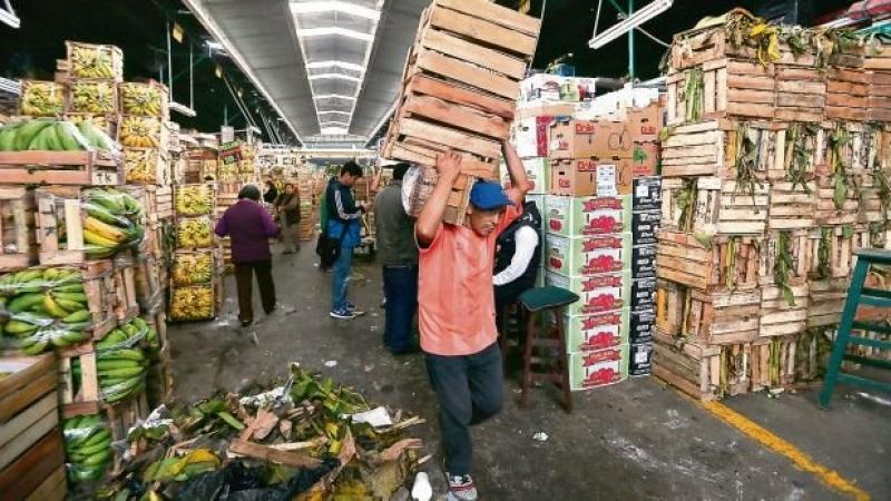 DEMANDA DE PLÁTANO BIZCOCHO SE INCREMENTÓ 11 VECES EN LIMA