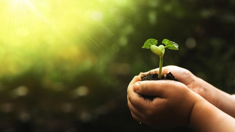 Derecho de Obtentor, una herramienta que promueve el desarrollo de la investigación e Innovación en agricultura
