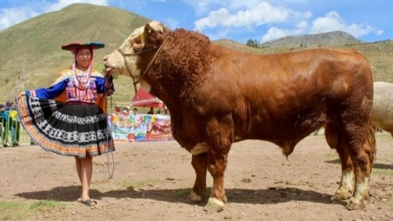 Desarrollo rural y dinamización de economías en agricultura familiar