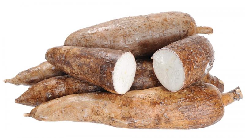 Despachos al exterior de yuca peruana sumaron 1,891.8 toneladas entre enero y abril