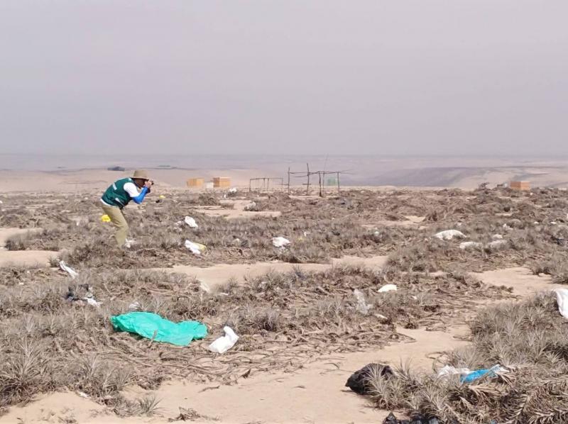 Desperdicios y pasos de vehículos destruyen plantas autóctonas del desierto tacneño