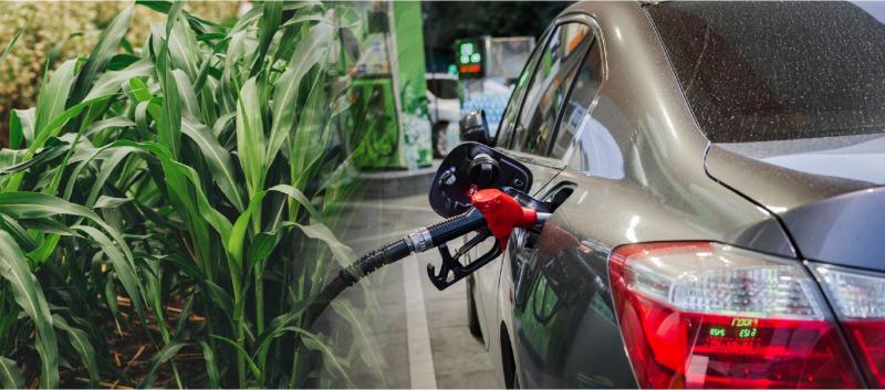 Destacan el rol de la agricultura en la descarbonización del transporte a través de los biocombustibles