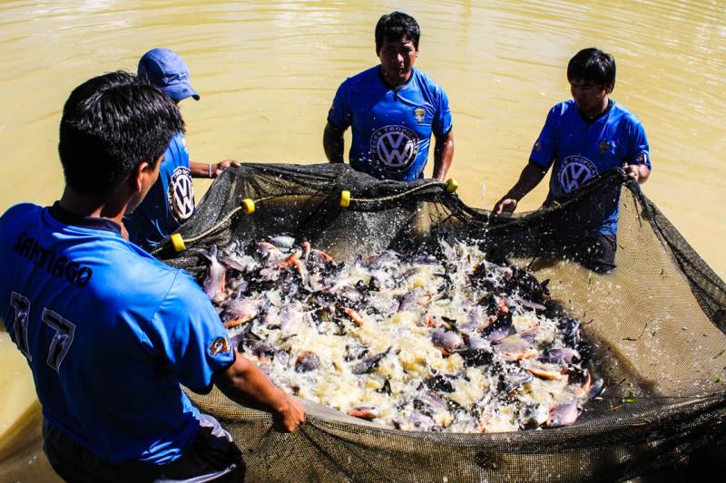 DESTINAN CERCA DE S/. 900 MIL PARA PROMOVER ACUICULTURA EN EL VRAEM