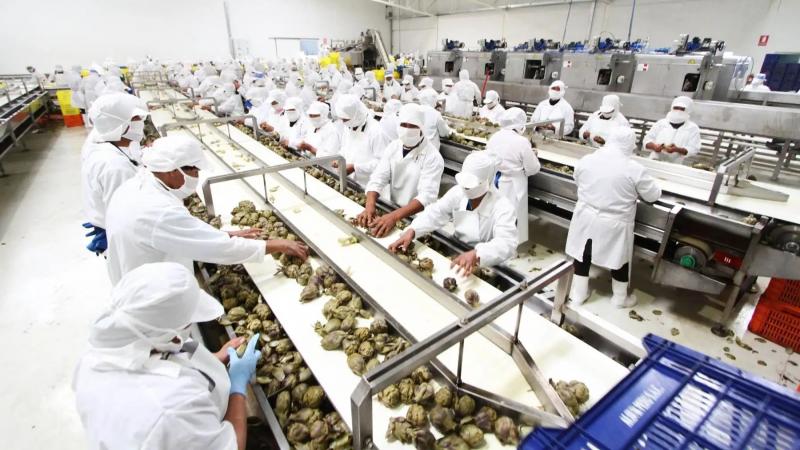 Destinarán S/ 2.7 millones al desarrollo productivo de Ica