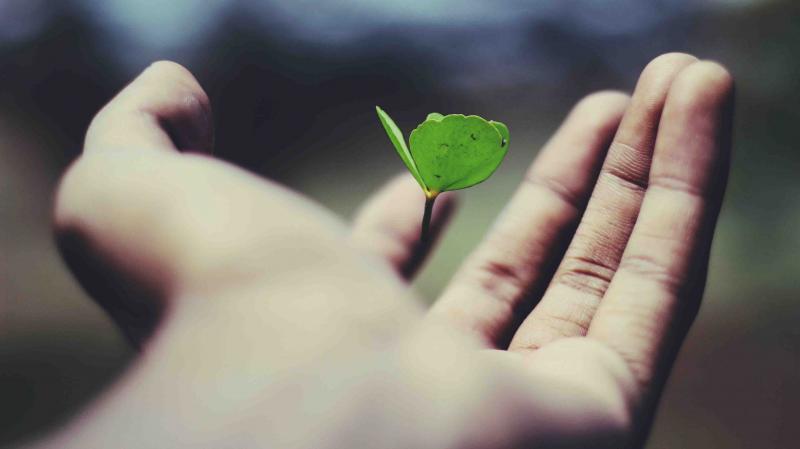 Día mundial del Cambio Climático: cómo avanzan las empresas peruanas en torno a este importante tema