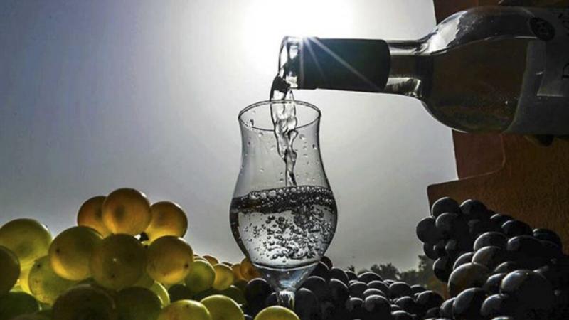 Dictan medidas cautelares para proteger la Denominación de Origen Pisco en Tacna
