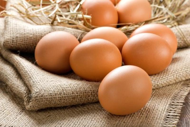 Disminuye notablemente la exportación de huevos fecundados