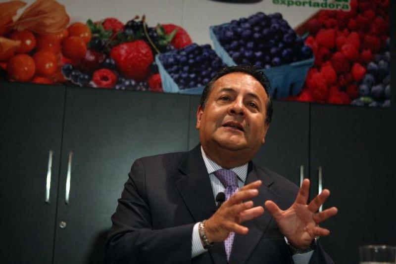 DIVERSIFICACIÓN DE BERRIES EN PERÚ GENERARÍA VENTAS POR US$ 50 MILLONES 